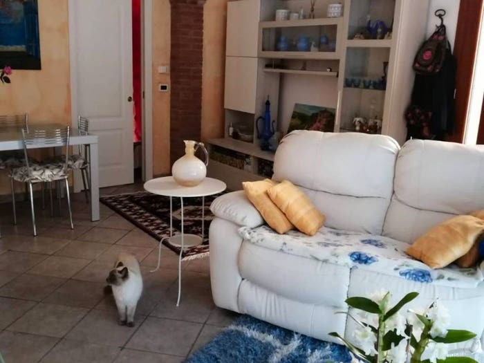Appartamento bilocale in vendita in Pontino Bastia, Livorno