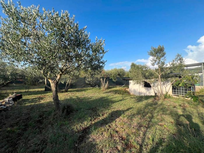 Casa monolocale in vendita in Poli