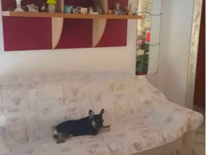 Appartamento monolocale in vendita in Corso Giorgio Castriota Skanderbeg, Centro, Campomarino