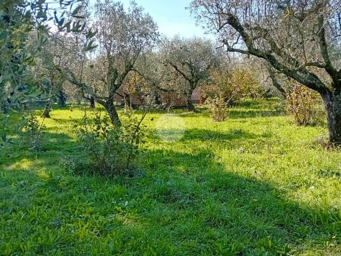 Casa monolocale in vendita in Via pianavella, Castel Sant'Elia