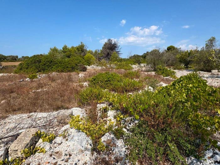 Casa con 6 locali in vendita in Via Pozzo Pasulo, Torre Vado, Morciano di Leuca