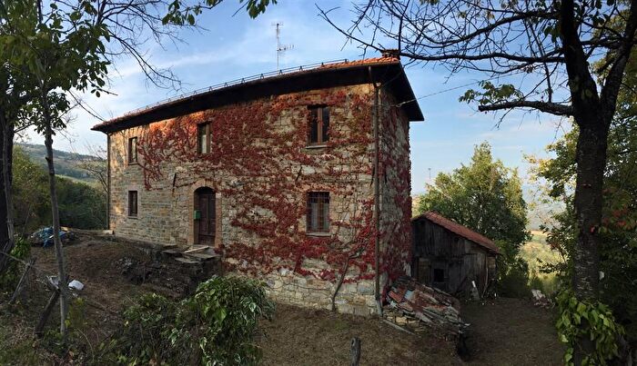 Casa con 10 locali in vendita in Montefiorino