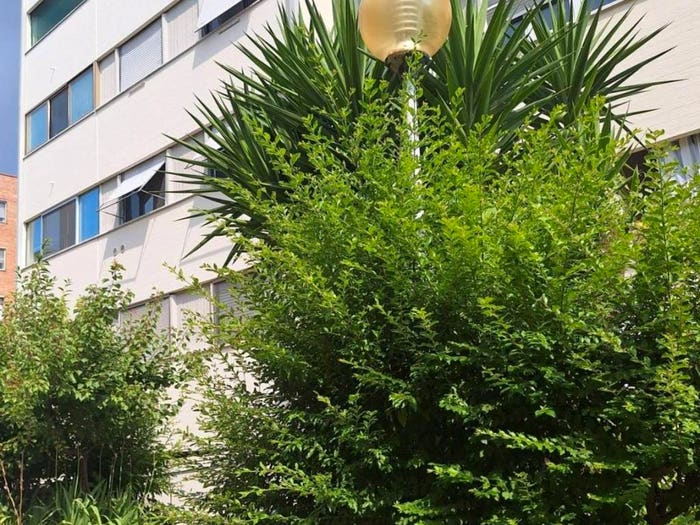 Appartamento con 5 locali in vendita in Via Adolfo Omodeo, Pisanova Pardi, Pisa