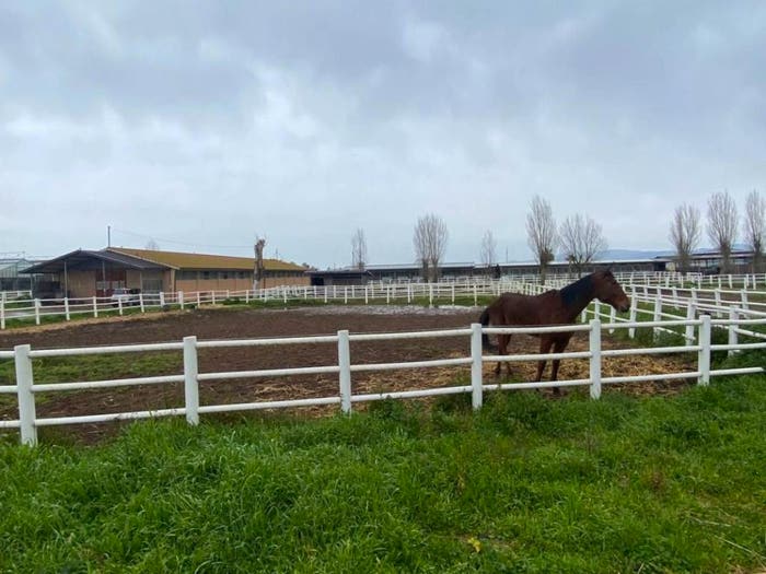 Casa con 6 locali in vendita in Via delle Acacie, Cogna, Aprilia