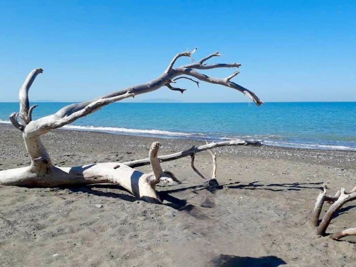 Appartamento trilocale in vendita in Marina Di Bibbona, Bibbona