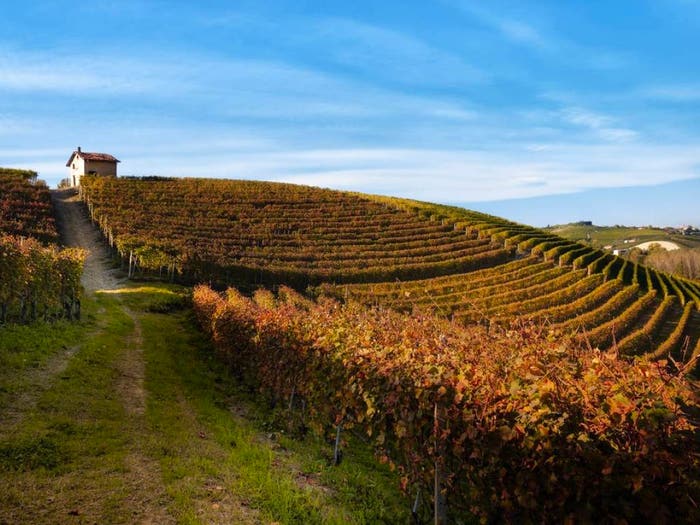 Casa in vendita in Nizza Monferrato