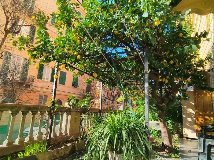 Appartamento quadrilocale in vendita in Via Martiri della Libertà, Pegli, Genova