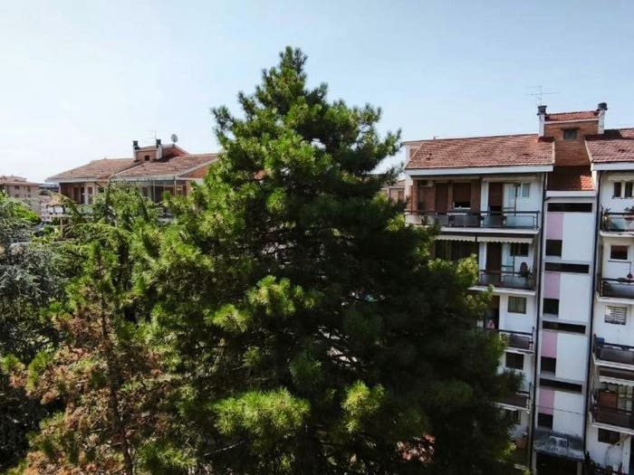 Appartamento quadrilocale in vendita in Via dell'Argin Grosso, Argingrosso, Firenze
