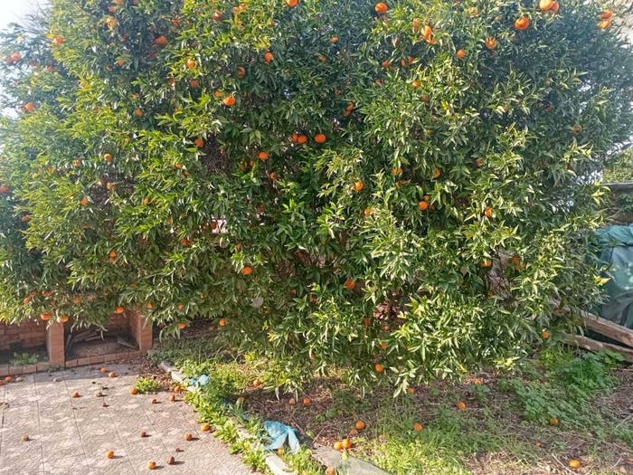Casa con 5 locali in vendita in Via San Nullo, Licola Paese, Giugliano in Campania