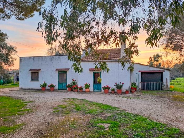 Casa con 6 locali in vendita in Contrada Serranova, Serranova, Carovigno
