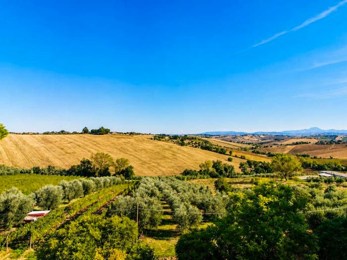 Casa con 6 locali in vendita in Via Mercatale, Centro, Belvedere Ostrense