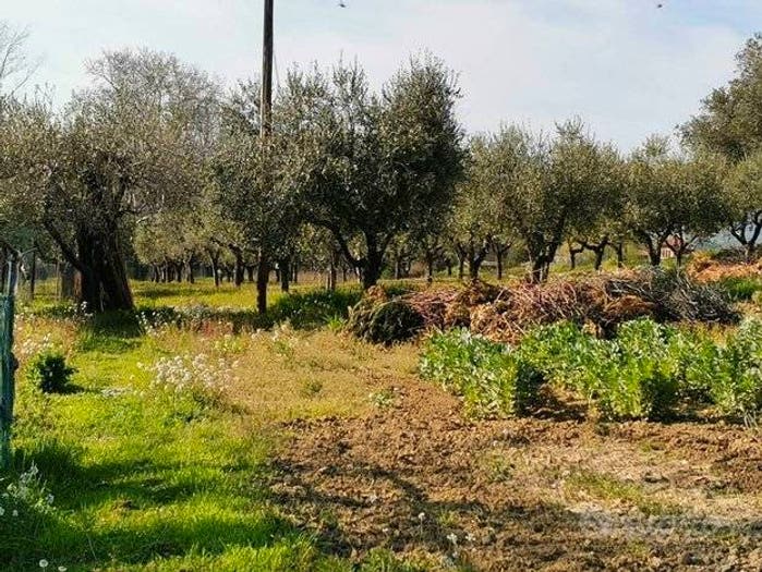 Casa con 5 locali in vendita in Villa Carmine, Montesilvano
