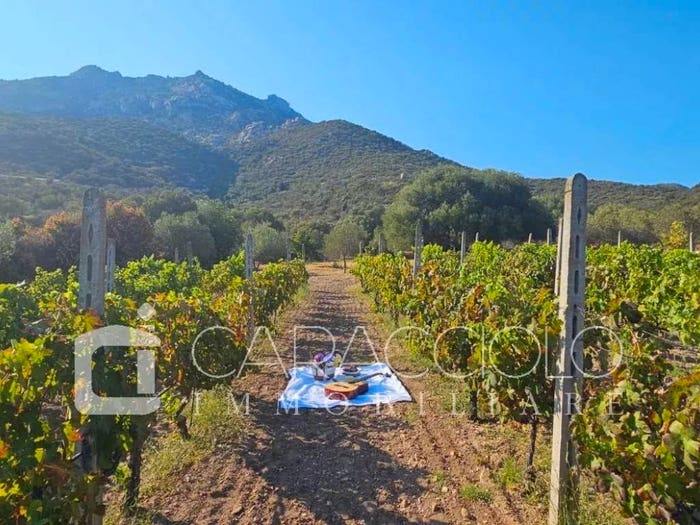Casa con 5 locali in vendita in Cugnana, Olbia