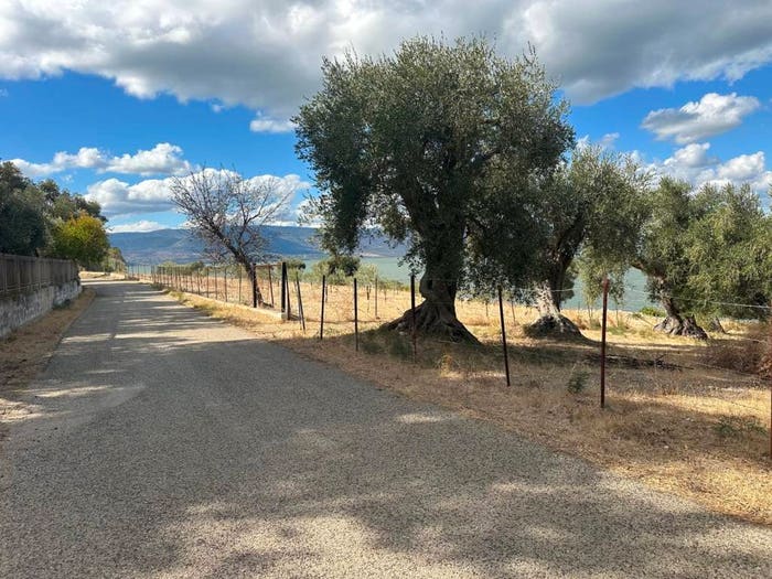 Casa con 6 locali in vendita in Strada Provinciale del Crocifisso di Varano, Ischitella