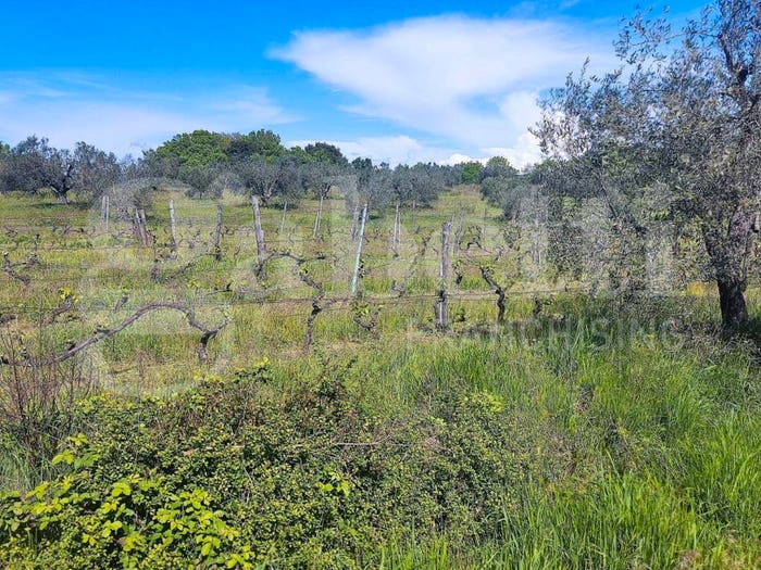 Casa quadrilocale in vendita in Montebamboli, Massa Marittima