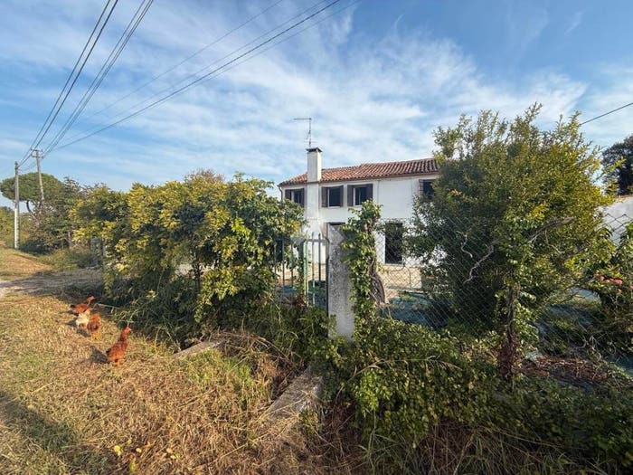 Casa quadrilocale in vendita in Via Ranfolina, Ranfolina, Montagnana