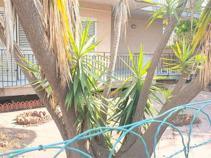 Appartamento con 5 locali in vendita in Via Federico Ii D'Aragona, Centro, Mascali