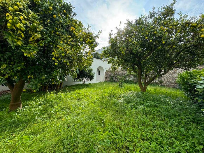Appartamento trilocale in vendita in Via Lo Palazzo, Centro, Capri