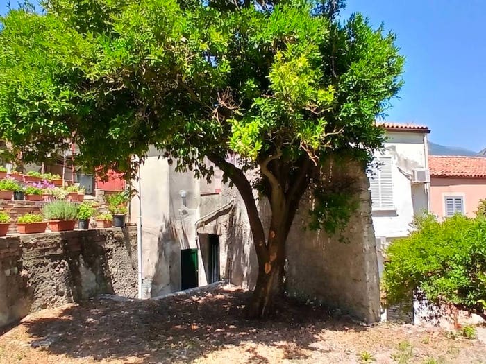 Appartamento con 6 locali in vendita in Via Rovita, Centro, Maratea