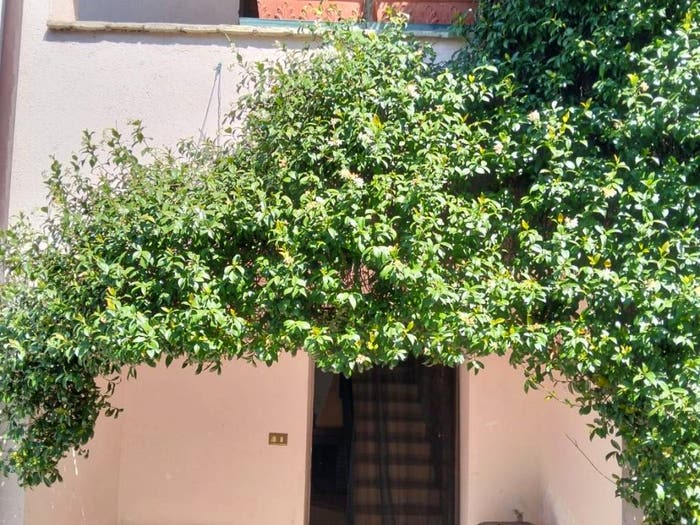 Casa con 5 locali in vendita in Maccantone, Nocera Umbra