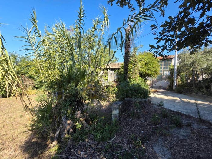 Casa con 6 locali in vendita in Torre Alfieri, Benevento