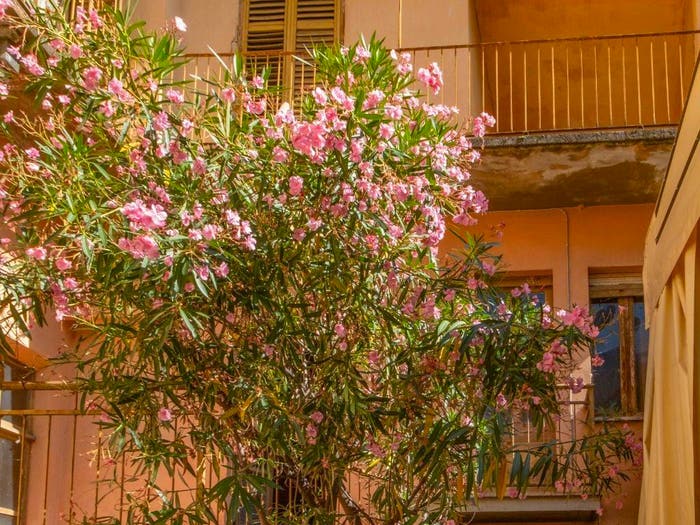 Casa con 6 locali in vendita in Via Giovanni Giolitti, Centro, Dronero