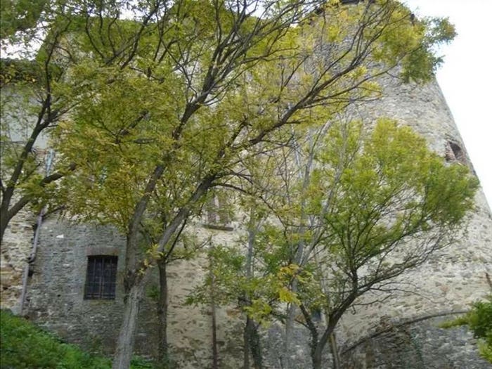 Casa con 6 locali in vendita in Alta Val Tidone