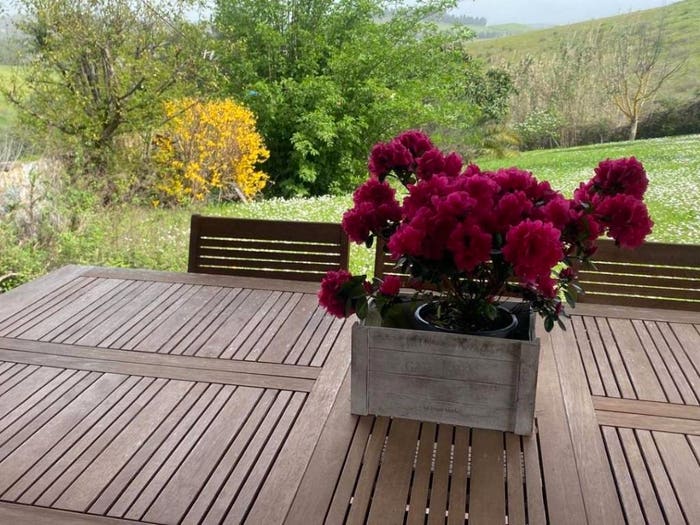 Casa con 6 locali in vendita in Nugola, Collesalvetti