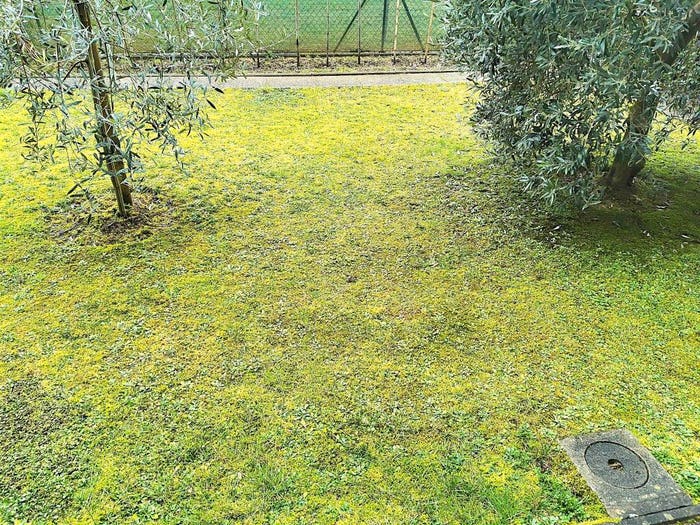 Appartamento trilocale in vendita in Piazza Dante Alighieri, Centro, Borgo San Lorenzo