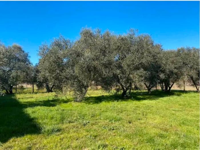 Casa con 6 locali in vendita in Via di Narduccio Fucecchio, Fucecchio