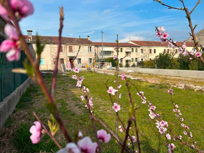 Casa con 6 locali in vendita in Via Roma, Santo Stefano Bonaldo, Zimella