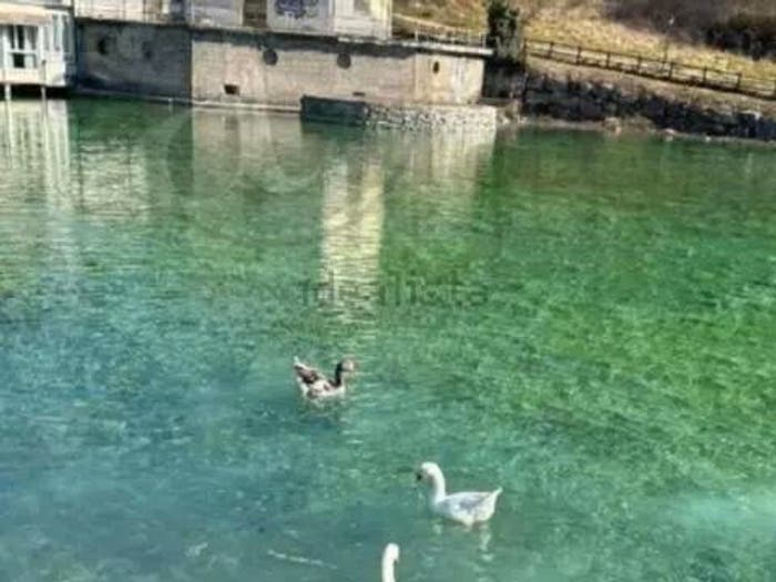 Casa con 6 locali in vendita in Urb Casa Di Paese Fontana Liri, Fontana Liri
