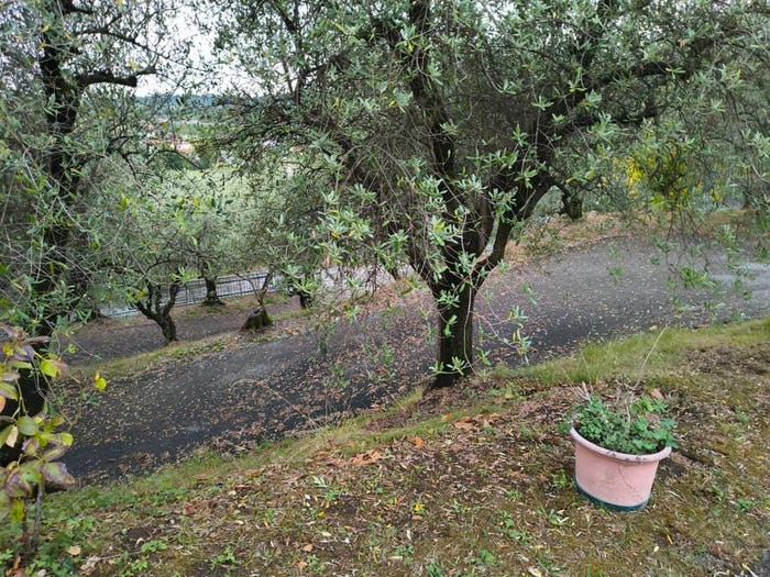 Casa con 6 locali in vendita in Via Pietro Caronelli, Centro, Colle Umberto