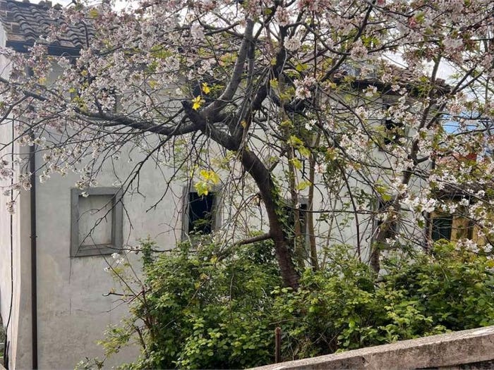 Casa con 6 locali in vendita in via di san ginese, Massa Macinaia San Leonardo, Capannori