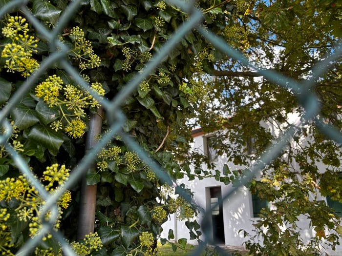 Casa trilocale in vendita in Lendinara