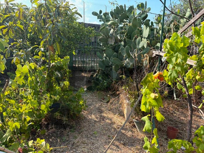 Appartamento con 6 locali in vendita in str IV femmina morta, Archi, Riposto