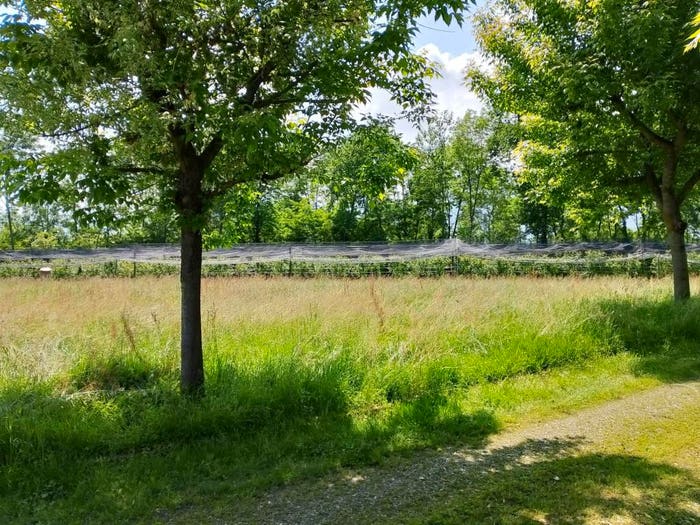 Casa con 6 locali in vendita in Via Sant'Anna, Bagnolo Piemonte