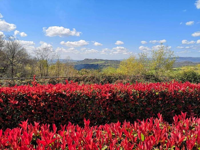 Appartamento bilocale in vendita in Località Poggio Murella, Poggio Murella, Manciano