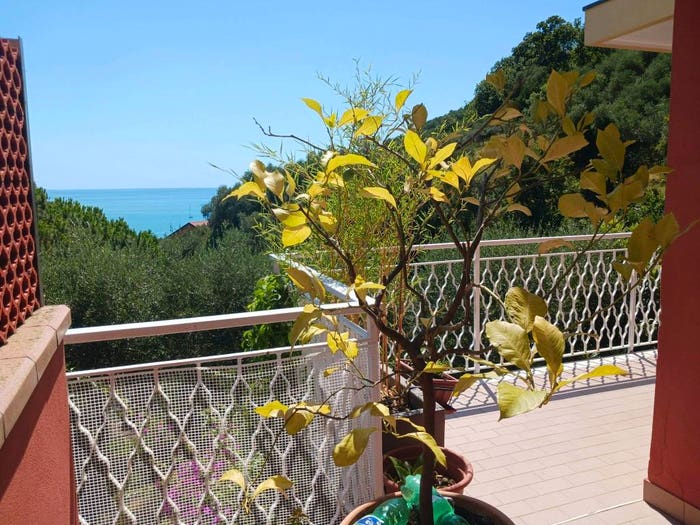 Appartamento con 6 locali in vendita in Via Castagnola, Centro, Moneglia