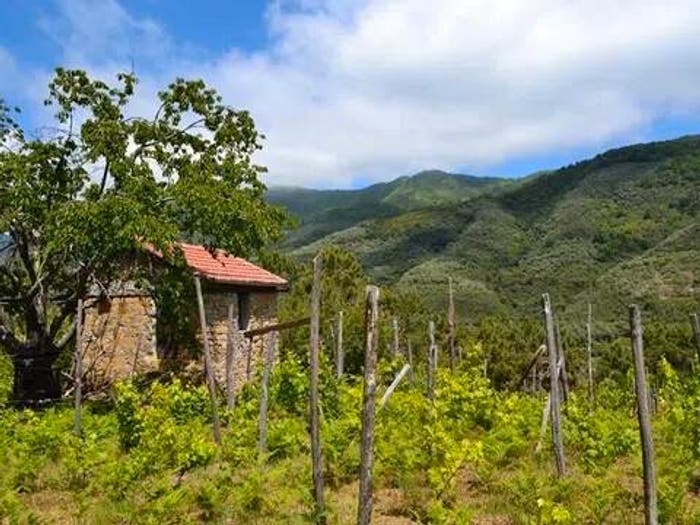 Casa bilocale in vendita in Strada Negre, Ceriana