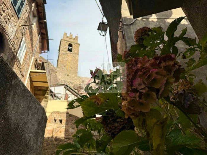 Appartamento quadrilocale in vendita in Via Farinelli, Centro, Piancastagnaio