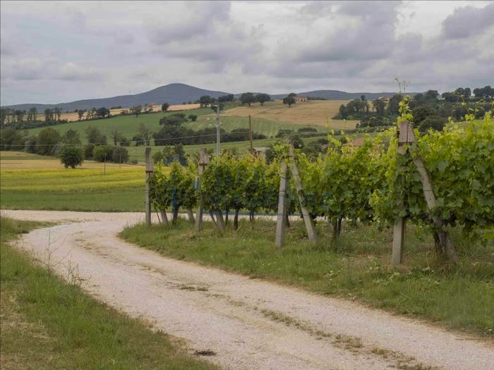 Casa con 5 locali in vendita in Vocabolo Collitto Montecastrilli, Montecastrilli