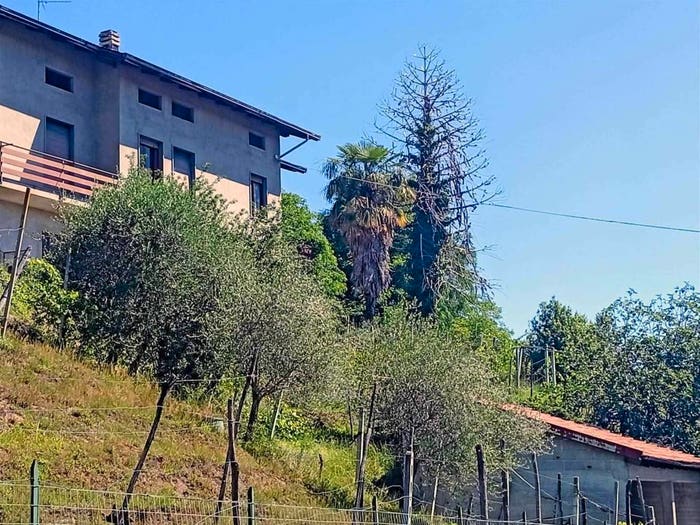 Casa con 5 locali in vendita in Frazione Baltera, Centro, Masserano
